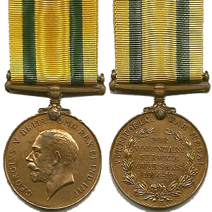 The Territorial FOrce War Medal
