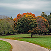 Parks and Open Spaces