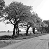 Transport Corridors